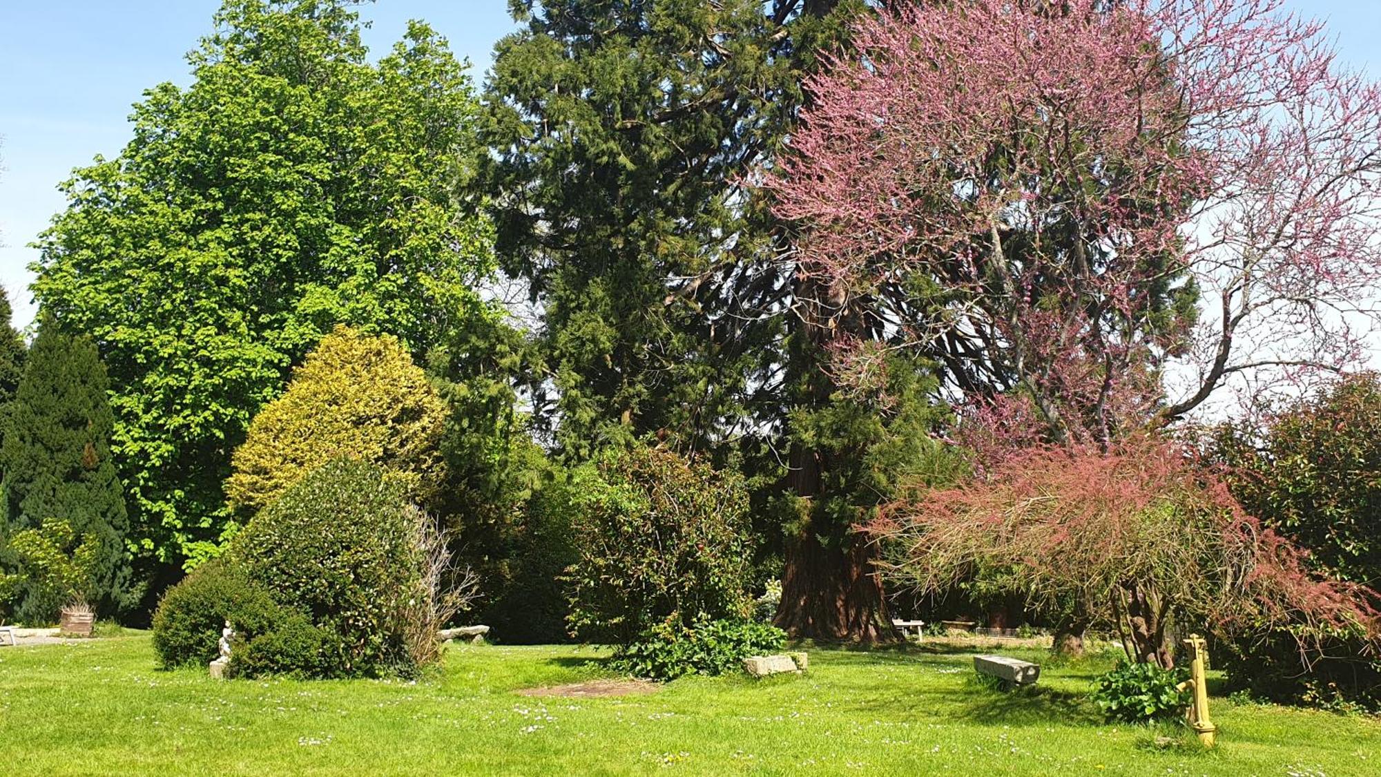 Cosy Er Lann Gite Sequoia Val-Couesnon Dış mekan fotoğraf
